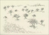 L’exposició al Museu de Guimerà “La Vall del Corb. Grafies, notes i dibuixos” del Dr. Corbella ressenyada pel Today Art Museum de Beijing