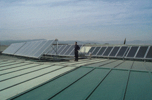 Panells solars (Foto: Miquel Torres SA)