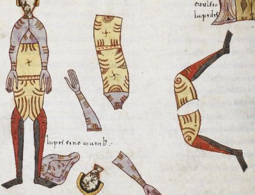 At utamur electram eam