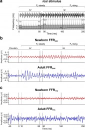 The FFR elicited to the novel /oa/ stimulus in newborns and adults