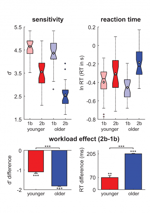 Figure 1. Behavioral results in the auditory n-back task.