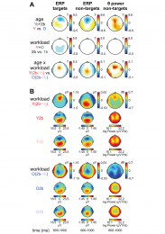 Figure 3. Electrophysiology: ERPs to target and non-tragets and theta power to non-targets.