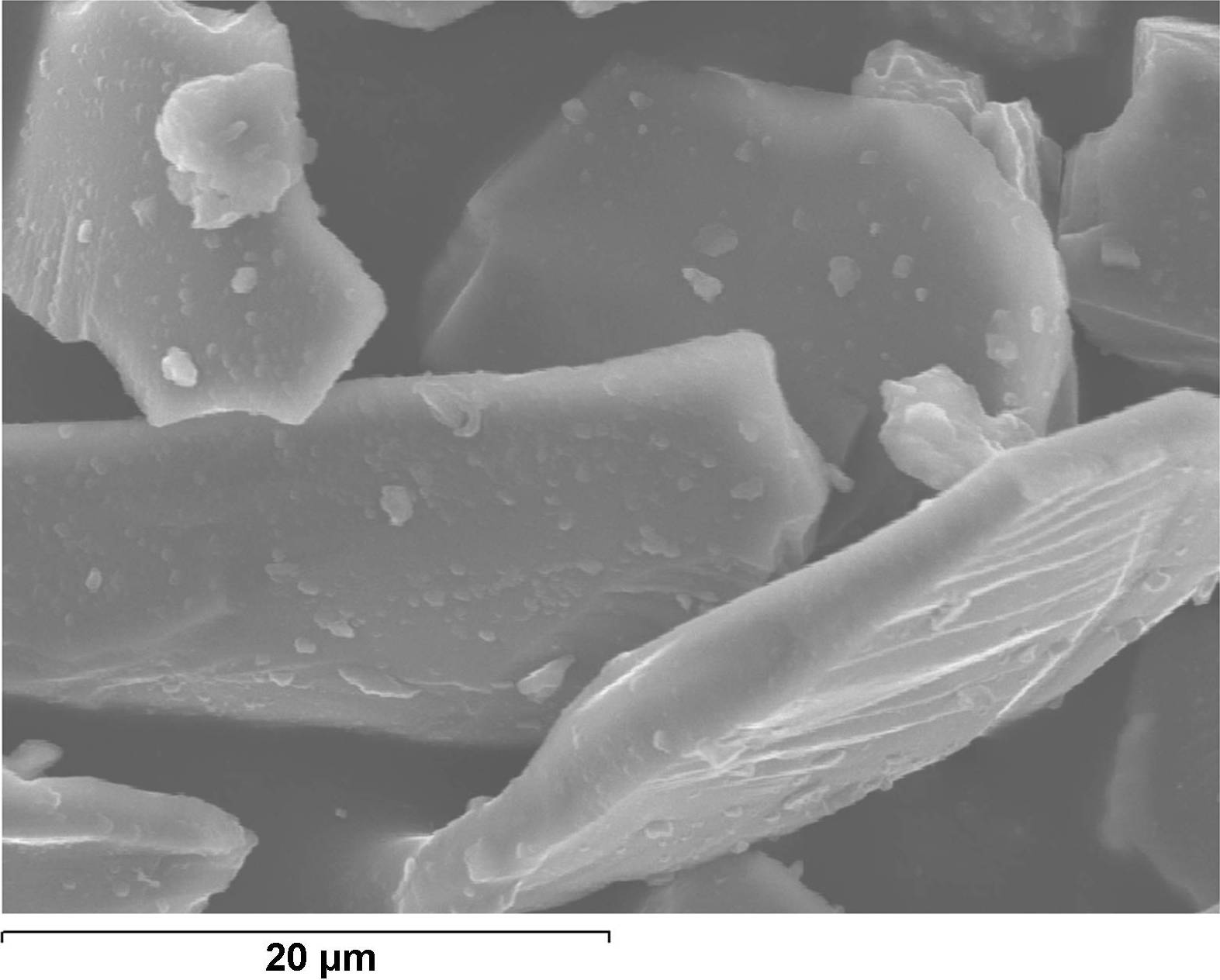 Micrografia Nº3: Detall de partícules de SiC