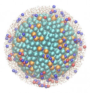 Charged spherical nanoparticle in solution