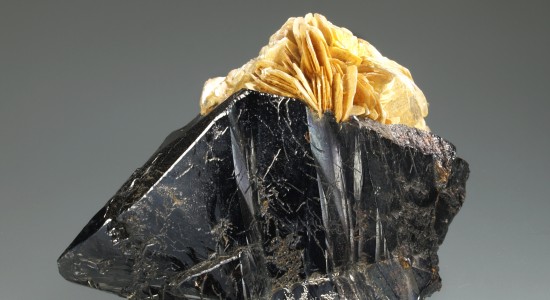 Cassiterita. Col·lecció de Mineralogia