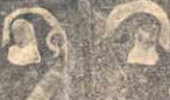 Immagine dell’apertura ed esposizione dei corpi delle due “sante donne” per permettere la devozione e il contatto con i fedeli