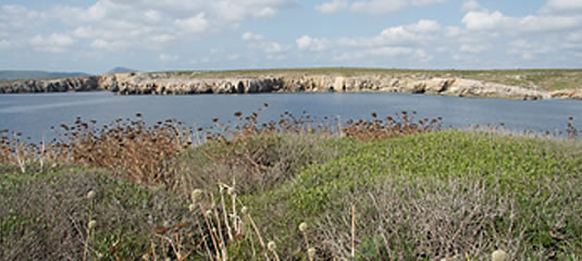 Tosqueta islet