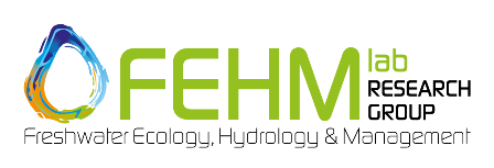 FEHM logo