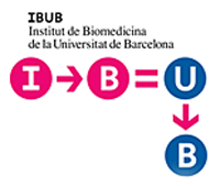 logo-IBUB