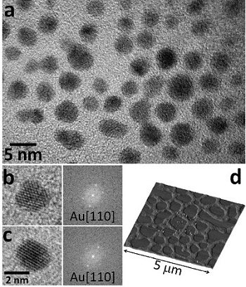 Gold nanoparticles