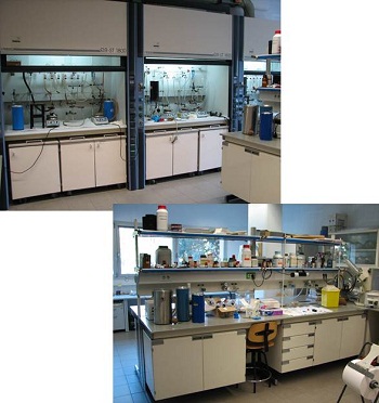 Supra and Nanostructured Systems laboratory