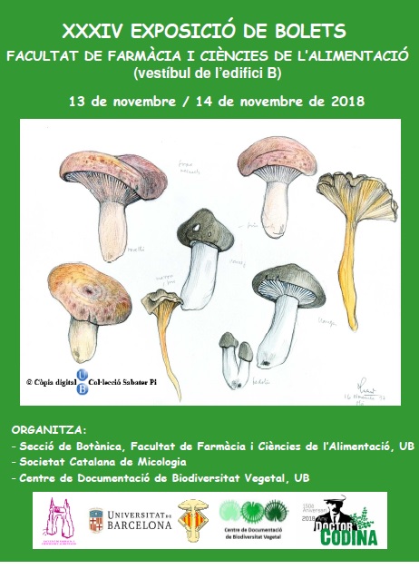 Mushroom exhibition of the Faculty of Pharmacy and Food Sciences.