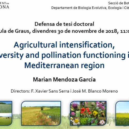 Defensa Tesis: ”Agricultural intensification, biodiversity and pollination functioning in the Medite