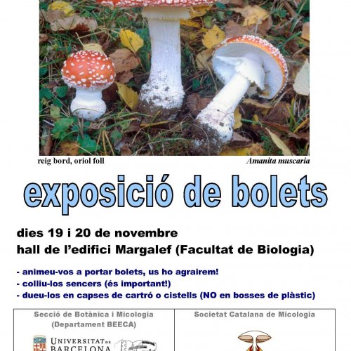 Mushroom exhibition at Faculty of Biology 
