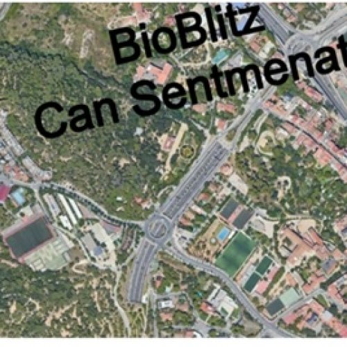 BioBlitz Barris als Jardins de Can Sentmenat. 