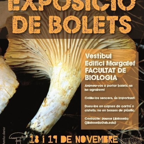 Exhibition of mushrooms in the Faculty of Biology