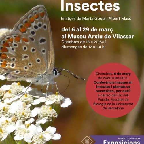 Exhibition: Insects
