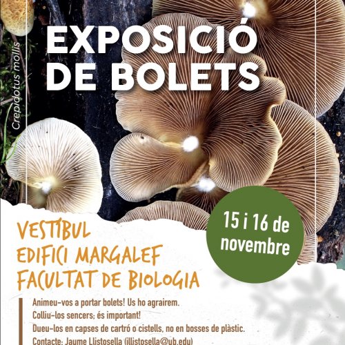  Mushroom exhibition 2021