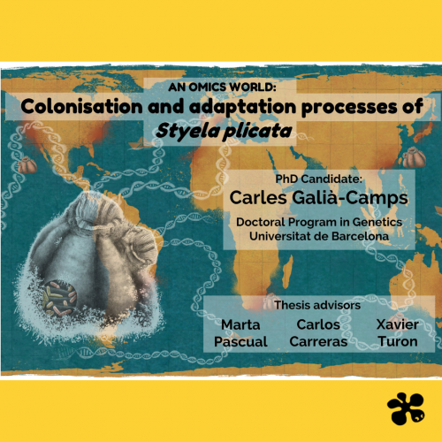 Defensa Tesis: An omics world Colonisation and adaptation process of Styela plicata