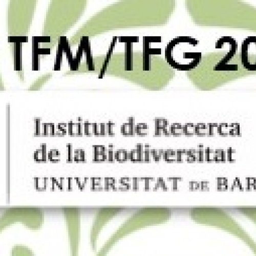 Convocatoria de ayudas IRBio 2021 a trabajos de Master y de final de grado en Biodiversidad