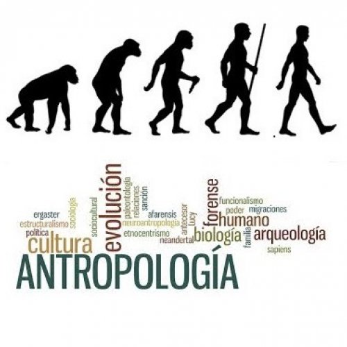 Master in biological anthropology 