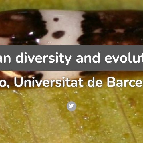 Planarian diversity and evolution lab
