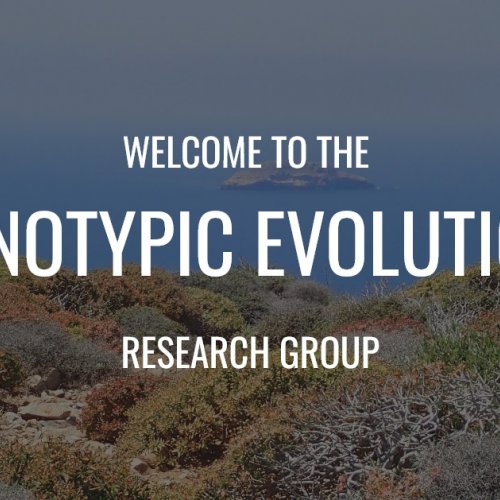 Phenotypic Evolution research group