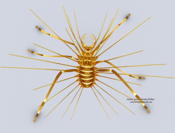 The mind-blowing Diogenes lacewing: how to store remains to survival 110 million years ago
