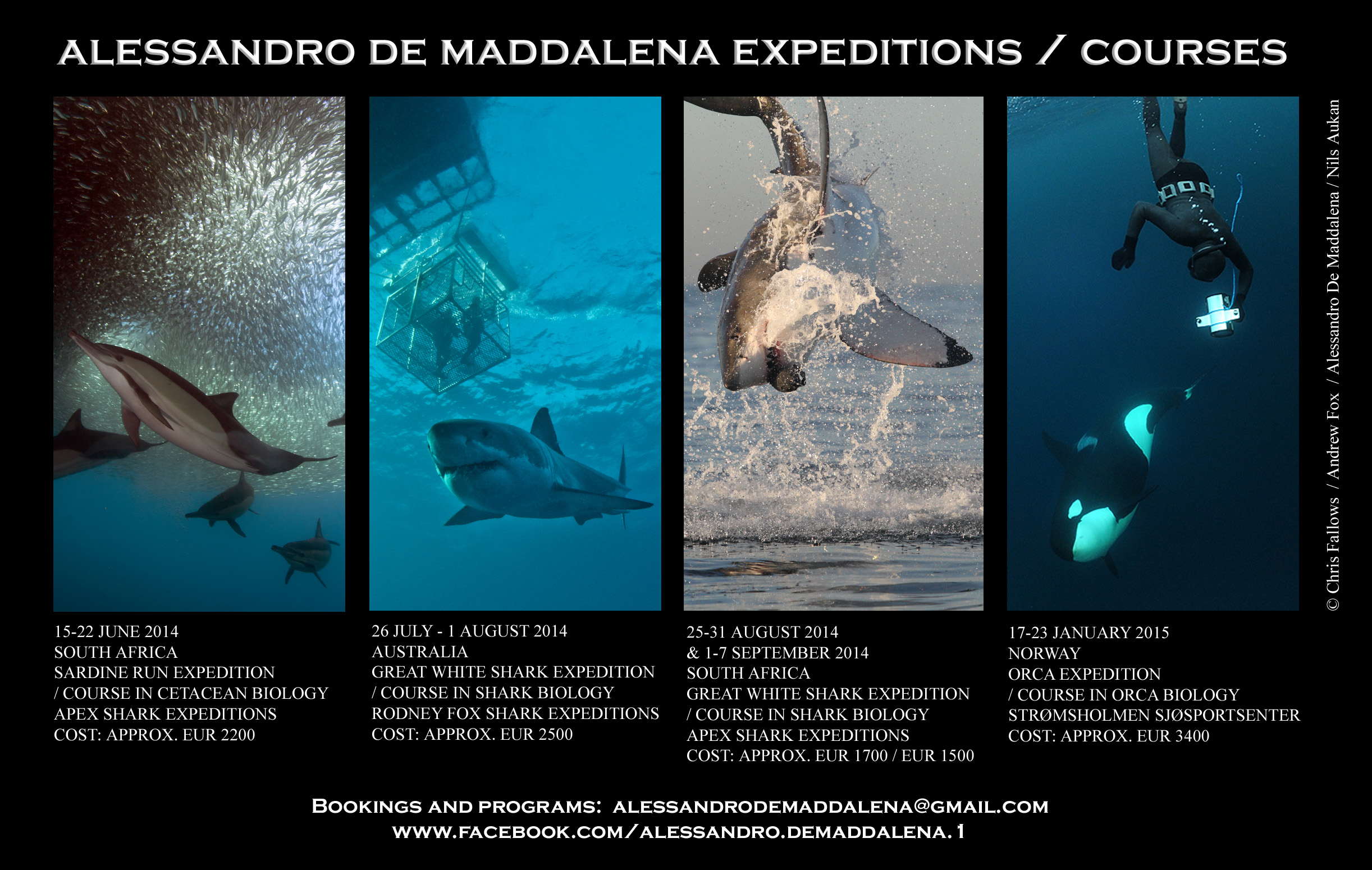 NEXT EXPEDITIONS / COURSES: GREAT WHITE SHARKS, ORCAS, SARDINE RUN
