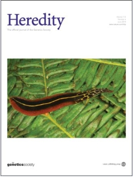 New insights into the origin of biodiversity in the Atlantic Forest of Brazil
