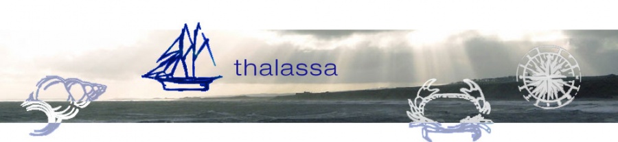 The Biology Club Immersion, in `Thalassa 'TV3