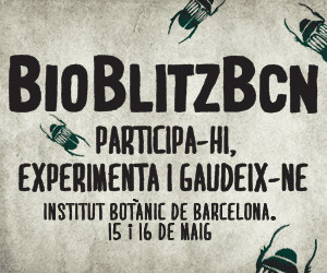 BioblitzBcn 2015