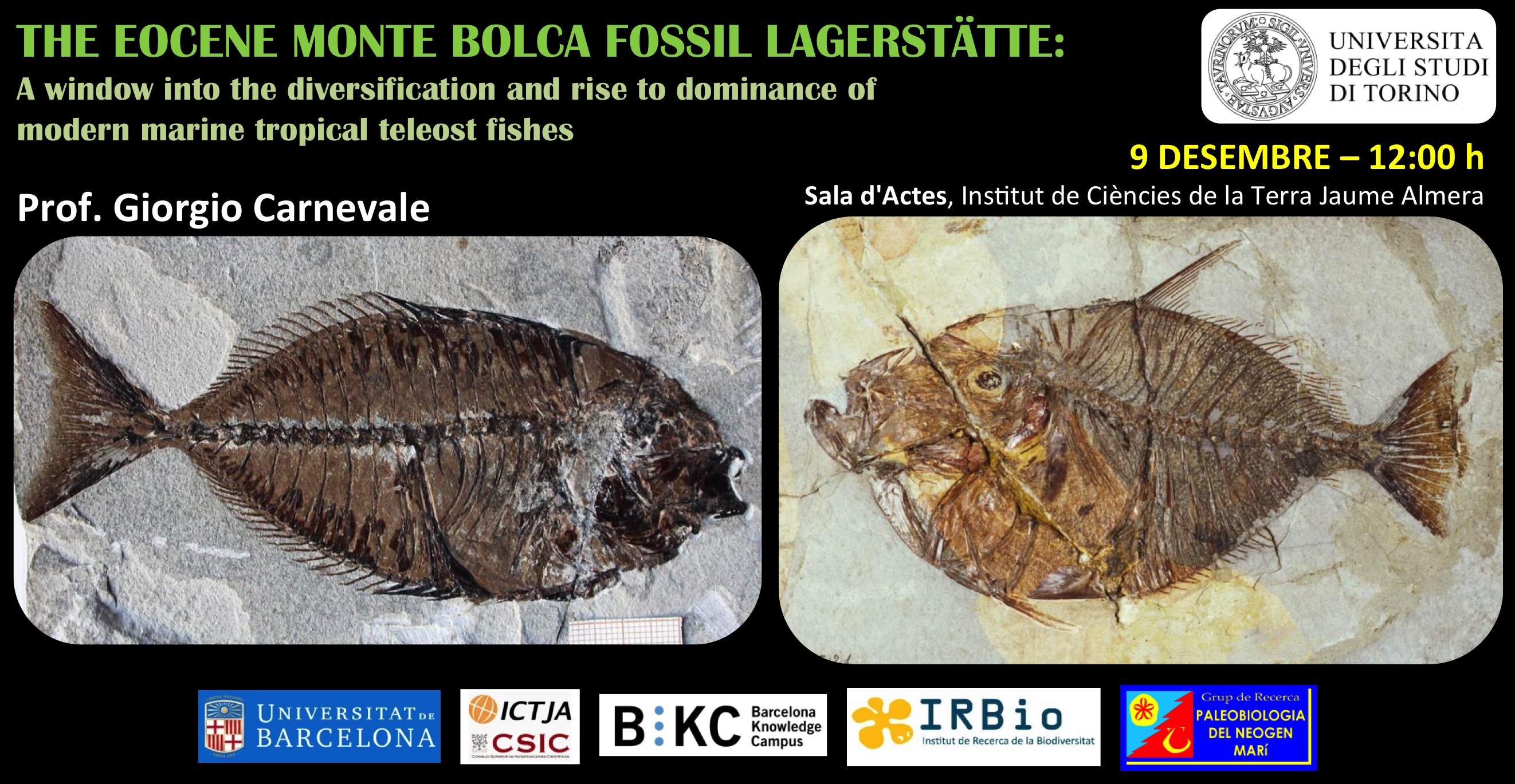 The Eocene Monte Bolca Fossil Lagerstätte: A window into the diversification and rise to dominance o