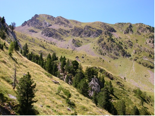 Curs: Diversitat i Ecologia de la Vegetació d'Alta Muntanya