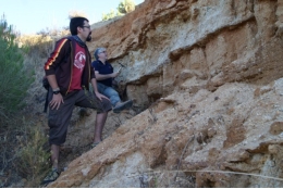 ‘Lepeichnus giberti’, una nova traça fòssil en el món de la paleontologia