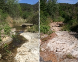 Alternative methods to understand the water regime of the temporary rivers