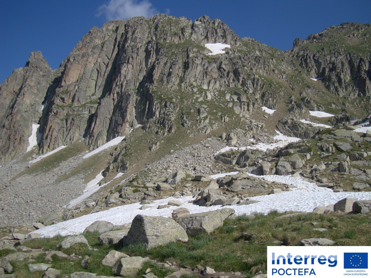 Mantener y desarrollar las bases del conocimiento sobre la Flora de los Pirineos