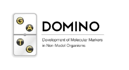 DOMINO, a new bioinformatics app to ease studies of genetic diversity through the genome