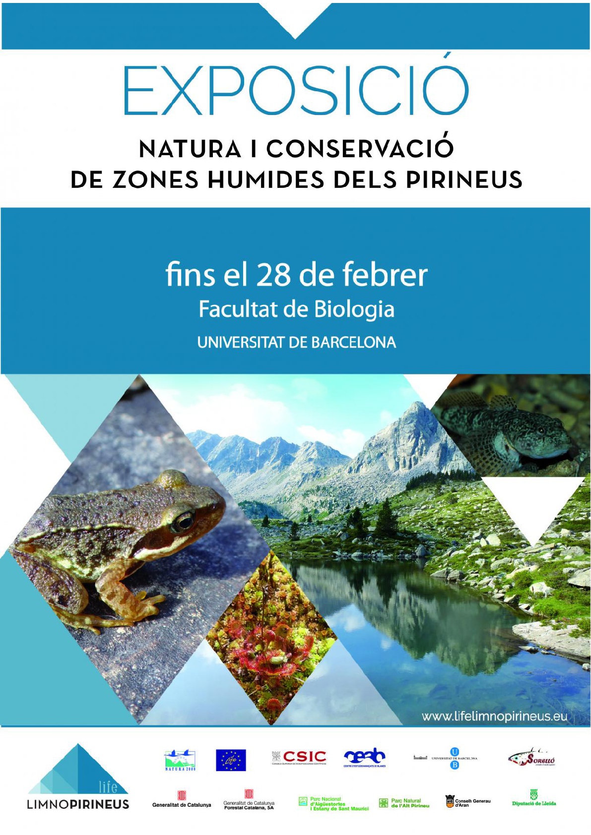 Exposició: Natura i Conservació de zones humides del Pirineu