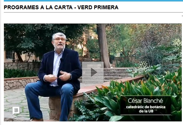 Reportatge a Cèsar Blanché sobre els Jardins Ferran SOldevila
