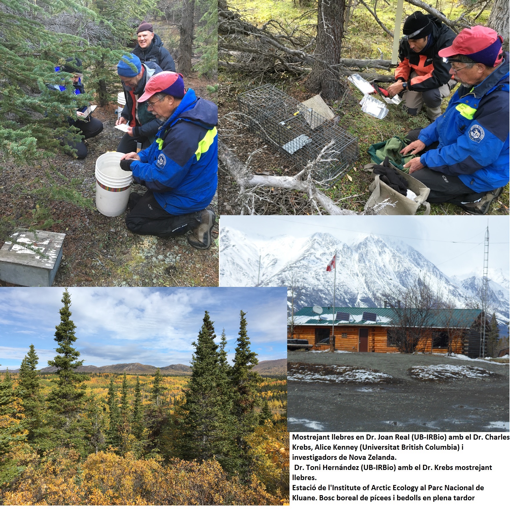 Estudiar los cambios ecológicos a largo plazo en las áreas boreales del Yukón en Canadá