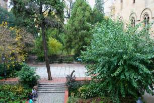 Discovering the secrets of the UB Garden 