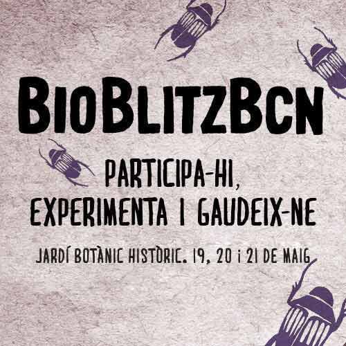 BioBlitzBCN 2017