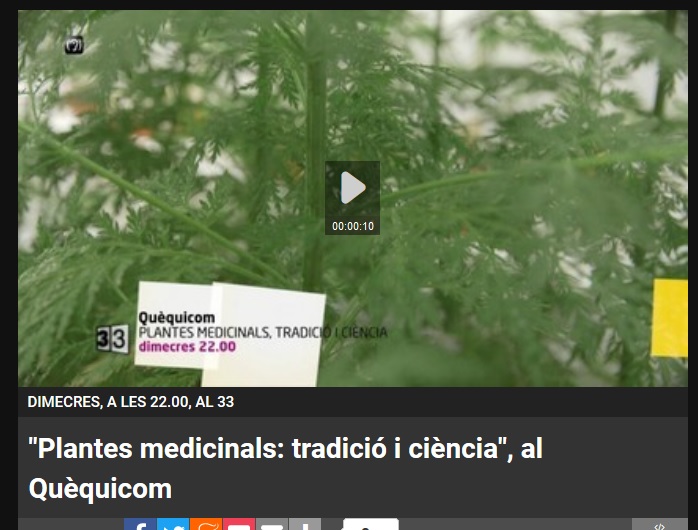 MEDICINAL PLANTS IN THE QUEQUICOM TVPROGRAM
