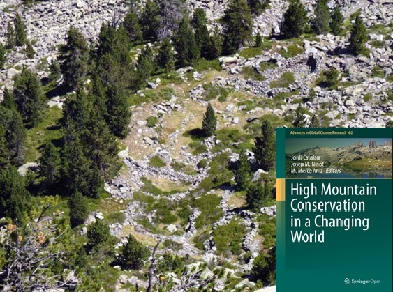 High Mountain Conservation in a Changing World 