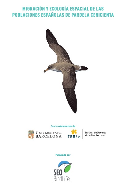 A study on the Cory’s shearwater will help protecting new marine areas in international waters