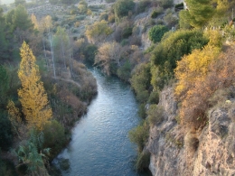 Objective: restoring riparian plants to improve the ecological status of rivers