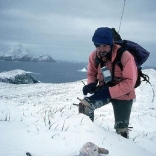 La fauna antártica está amenazada por los patógenos dispersados por los humanos en latitudes polares