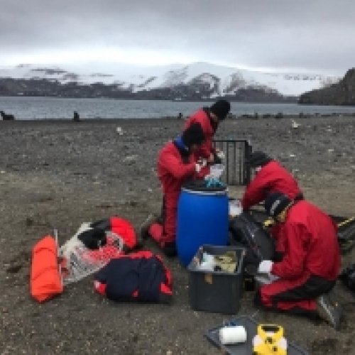 Antarctica: UB research goes back to the white continent