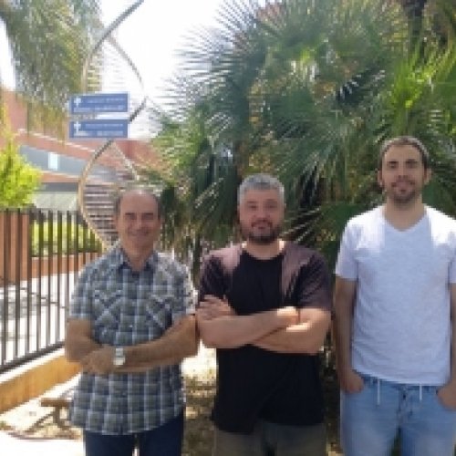 UB and IRBio experts participate in the genome sequencing of the avocado 